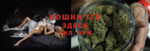 гашик Горняк