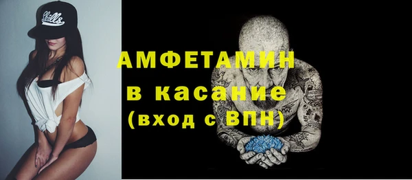 гашик Горняк
