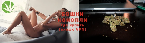 apvp Горнозаводск