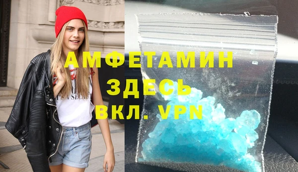 гашик Горняк