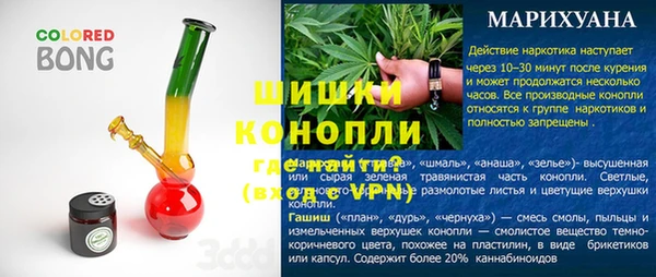 гашик Горняк