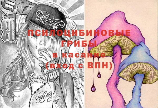 apvp Горнозаводск