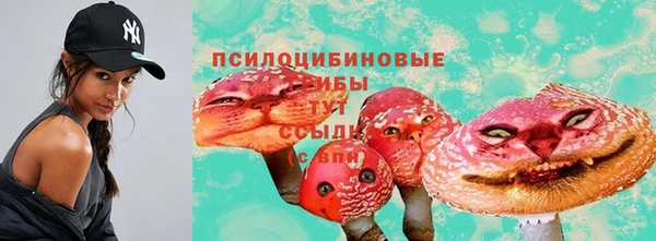 apvp Горнозаводск