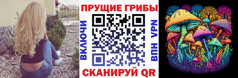 Галлюциногенные грибы мицелий Певек